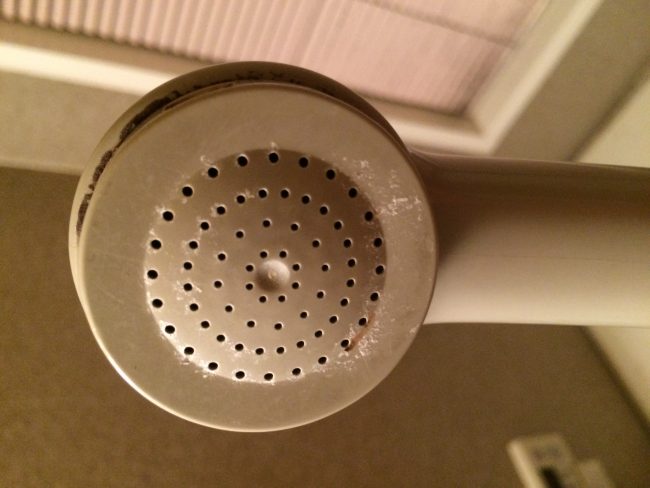 シャワーヘッドの掃除 家事えもんの方法は 得する人損する人 給湯器の困りごと救急箱