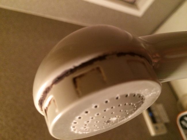 シャワーヘッドの掃除 家事えもんの方法は 得する人損する人 給湯器の困りごと救急箱